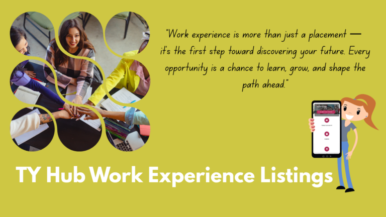 Work Experience – TY HUB